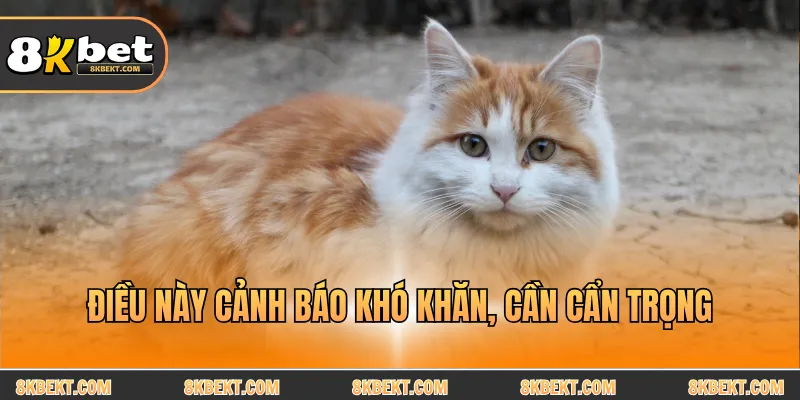 Điều này cảnh báo khó khăn, cần cẩn trọng