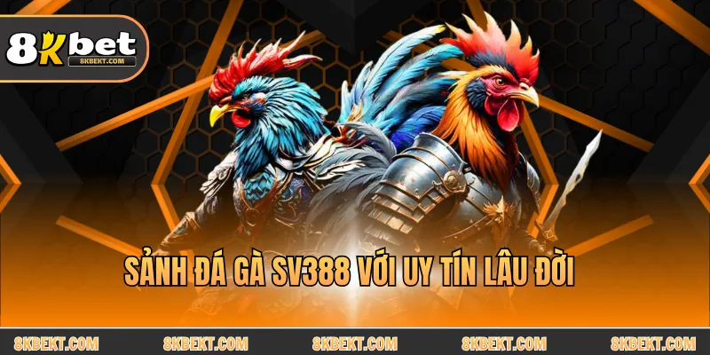 Sảnh đá gà SV388 với uy tín lâu đời