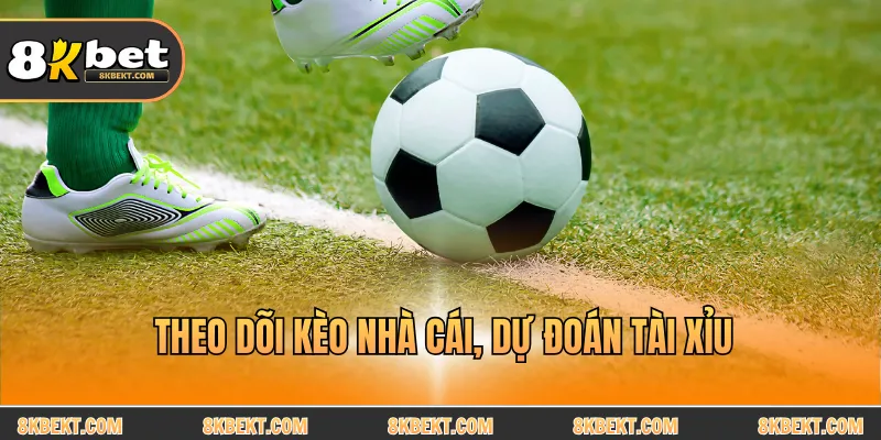 Theo dõi kèo nhà cái, dự đoán tài xỉu