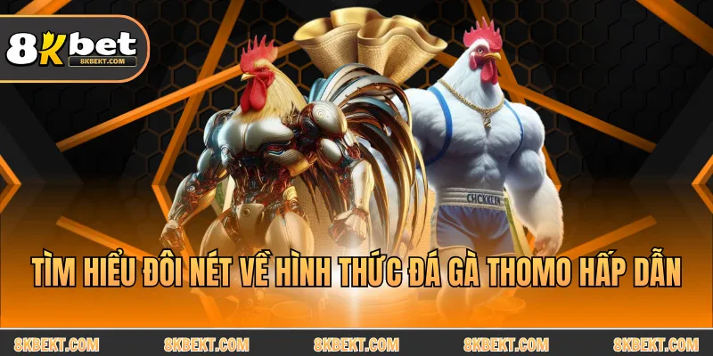 Tìm hiểu đôi nét về hình thức đá gà Thomo hấp dẫn
